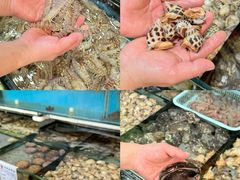 -小铜锣湾海鲜家常菜馆(河西店)