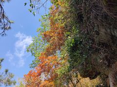 -虞山风景区