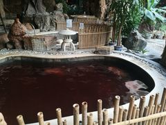 -顺景温泉