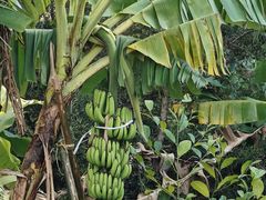 -西涌国际滨海旅游区