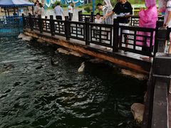 -华夏文旅海洋公园