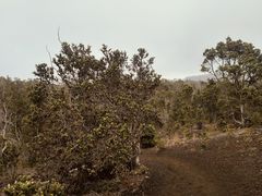 -夏威夷火山国家公园