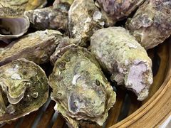 -吉香碳烤生蚝(仙霞路店)