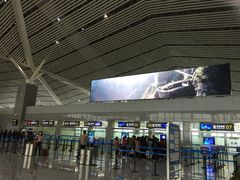 -张家界荷花国际机场航站楼-国内出发