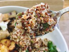 藜麦三文鱼饭-Green Option(官舍店)