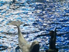 -福州罗源湾海洋世界旅游区