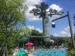 -苏州乐园森林水世界