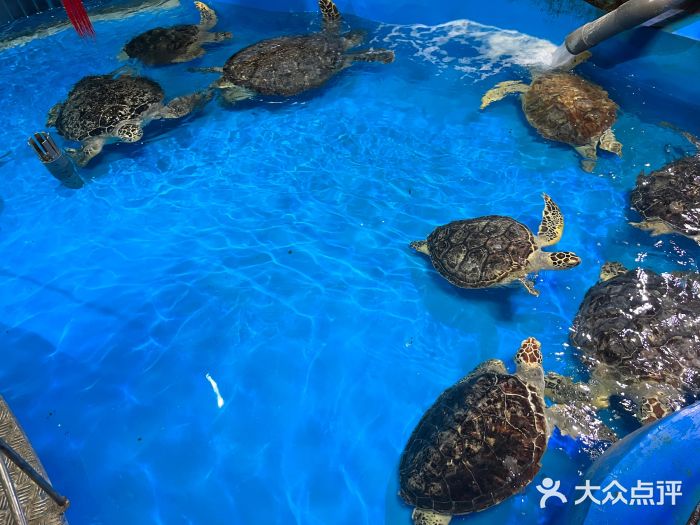 泉城欧乐堡海洋极地世界图片