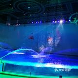上海海昌公园