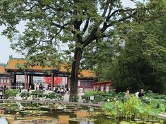 -莲花池公园