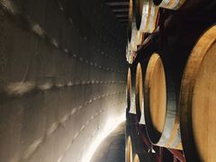 -龙谕酒庄