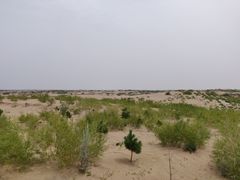-玉龙沙湖景区