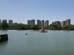 -青枫公园