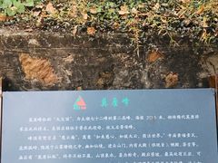 -雨花胜境
