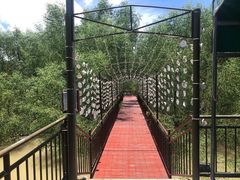 -崖口红树林海鲜餐厅