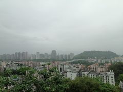 -福道