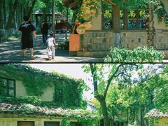 -乌村