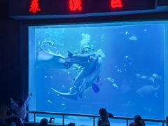 -太平洋海底世界