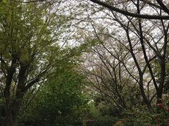 -长广溪湿地公园