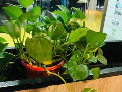 -拿渡·水煮鱼 麻辣香锅(西单大悦城店)