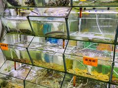 -海之鲜大排档(东山海鲜金銮湾店)