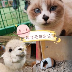 -萌宠亲子动物乐园(槐房万达店)