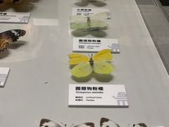 -四川大学博物馆