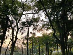 -杭州植物园