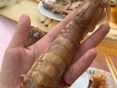 -四海鲜渔家菜(黄金海岸店)