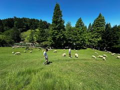 -神户市立六甲山牧场