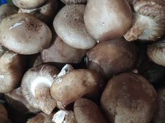 -永兴食杂店烘焙坊(新年蛋糕店)