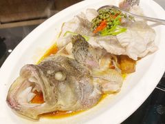青花椒蒸龙胆鱼-闽和南(深圳万象城店)