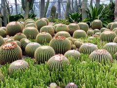 -华南国家植物园-售票处