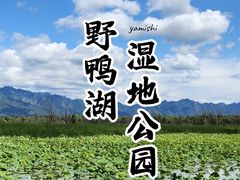 -野鸭湖国家湿地公园