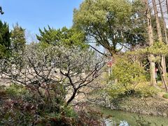 -上海醉白池公园