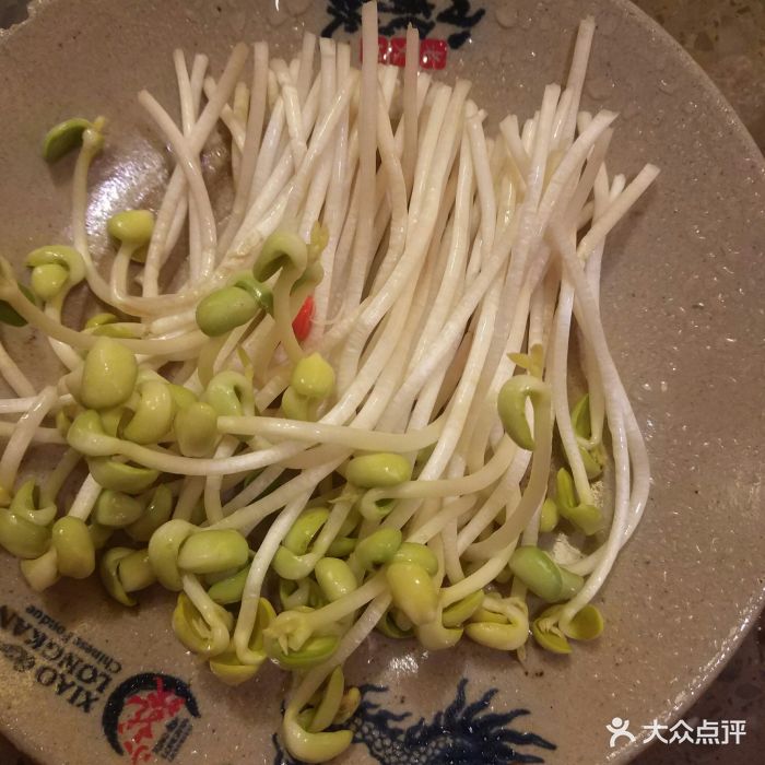 小龙坎老火锅(滨江龙湖天街店)豆芽图片 - 第946张
