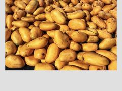 -物美超市(义乌万达广场店)