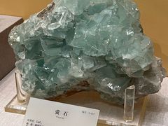 -湖南省地质博物馆