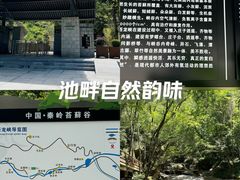 -苍龙峡风景区