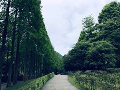 -青城山