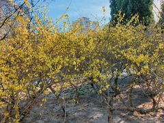 -元大都城垣遗址公园