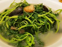上汤苋菜-新享乐海鲜(翠华路店)