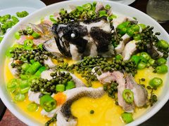 青青椒麻龙胆鱼-CHIC1699远洋私厨