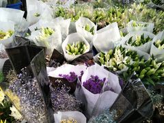 -秦美花卉(天朗·莱茵小城2期店)