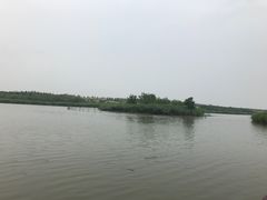 -西青郊野公园