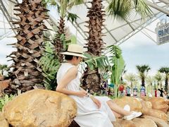 -三亚海昌梦幻海洋不夜城