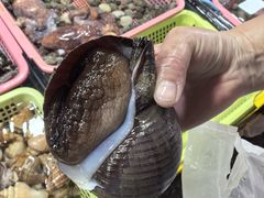 -霞涌市场海鲜摆卖区
