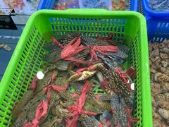 -七鲜渔港美食餐厅(巽寮湾海景店)