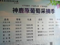 -白鹿原葡萄主题公园