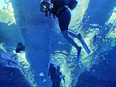 -波塞冬旅游度假区